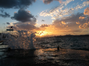 turkey-splash turkey-splash