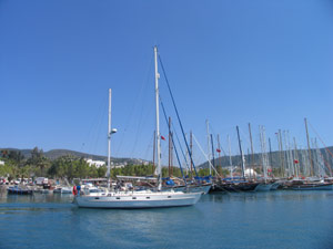 first-solo-marina