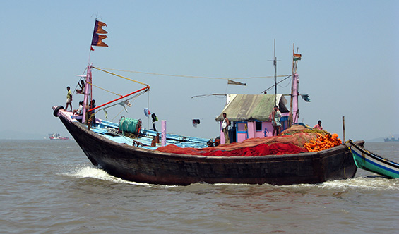 Colourful fishing boats. There's a lot of them up and down the coast of India.