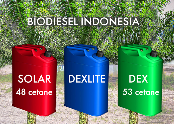 Indonesia's notorious biofuel