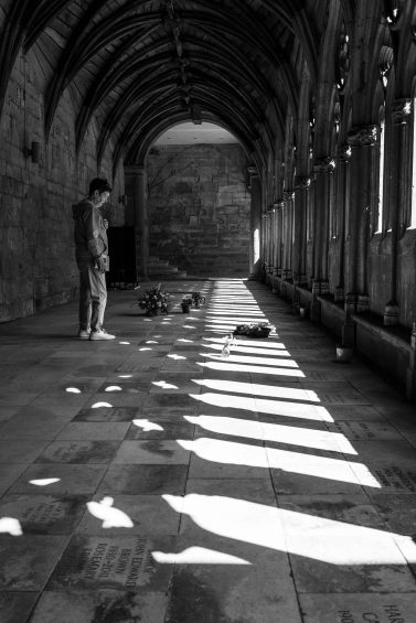 the cloisters of lincoln cathedral