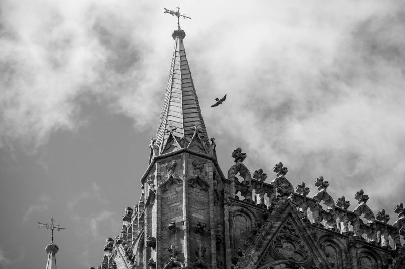 Nesting Peregrine Falcons in Lincoln Cathedral bell tower